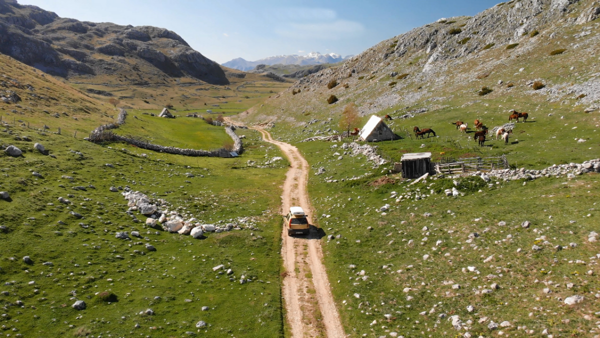 f50e42f5-7096-4ddd-8237-2754e8315a09