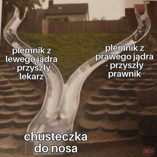 5cb85061-c1e9-4f4d-8c02-71185af4c711