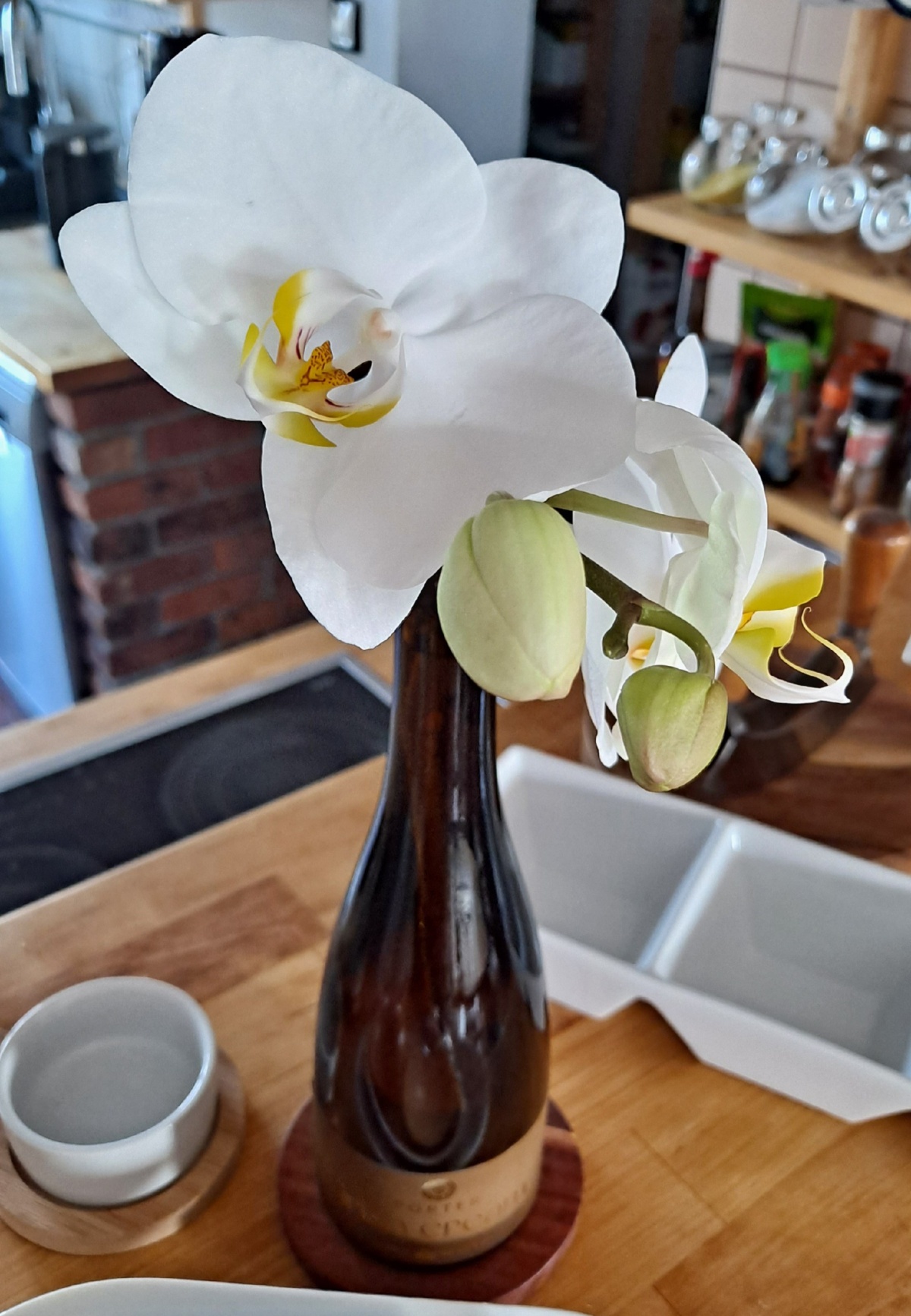 eb132595-4062-4917-92ea-18ed7f7420d8