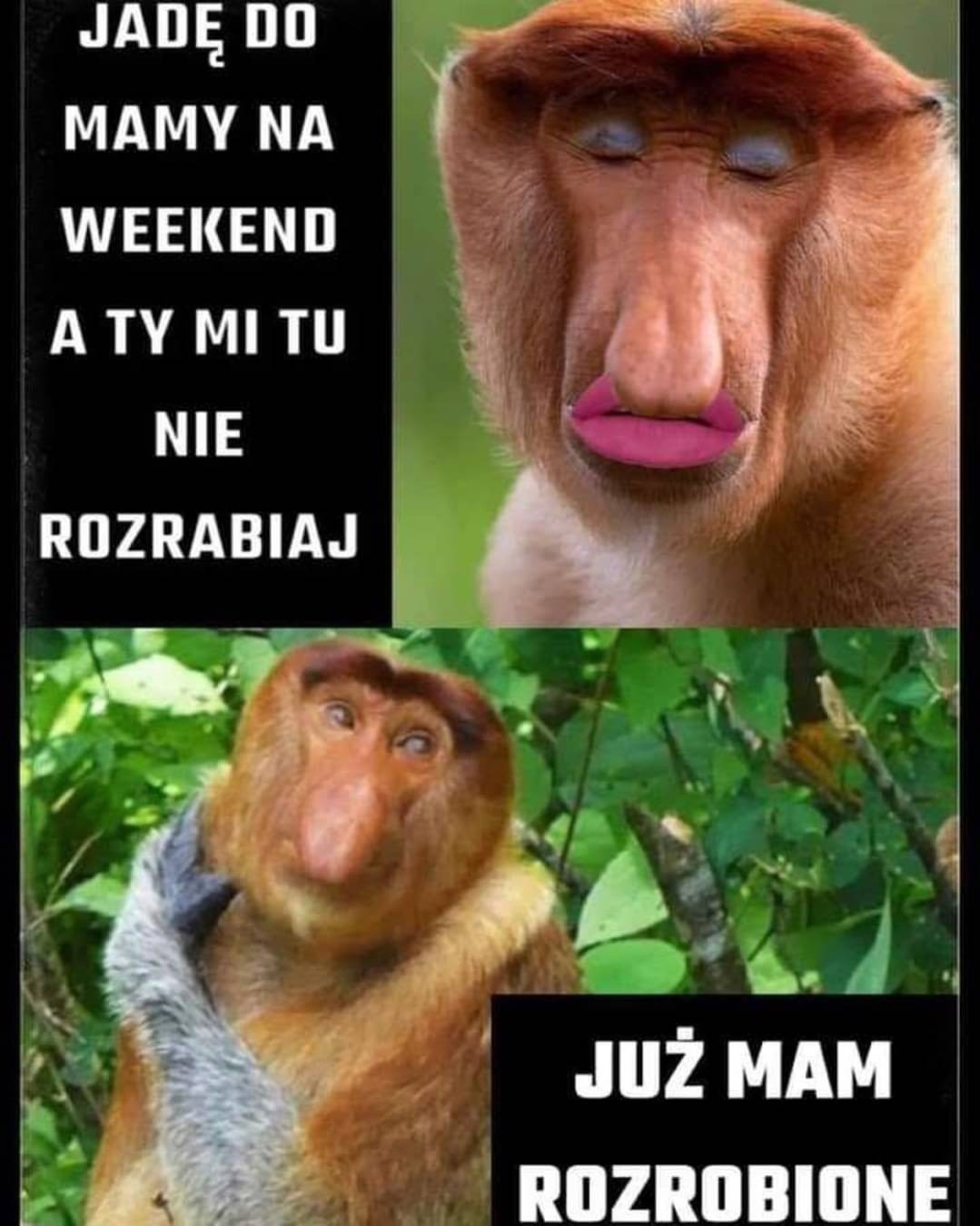 a36a22e6-e3c8-42ba-bd0d-fd1ec0b74c90