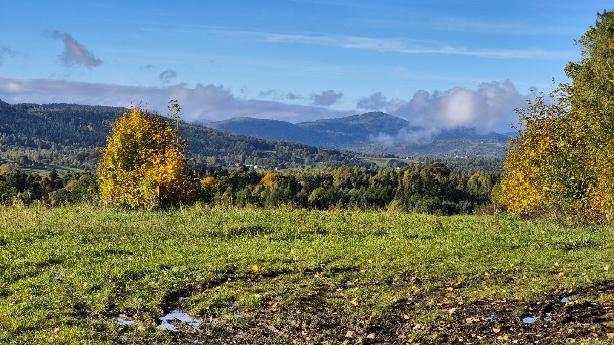 a9b75526-2a6d-458f-9a5b-2edc627cece1