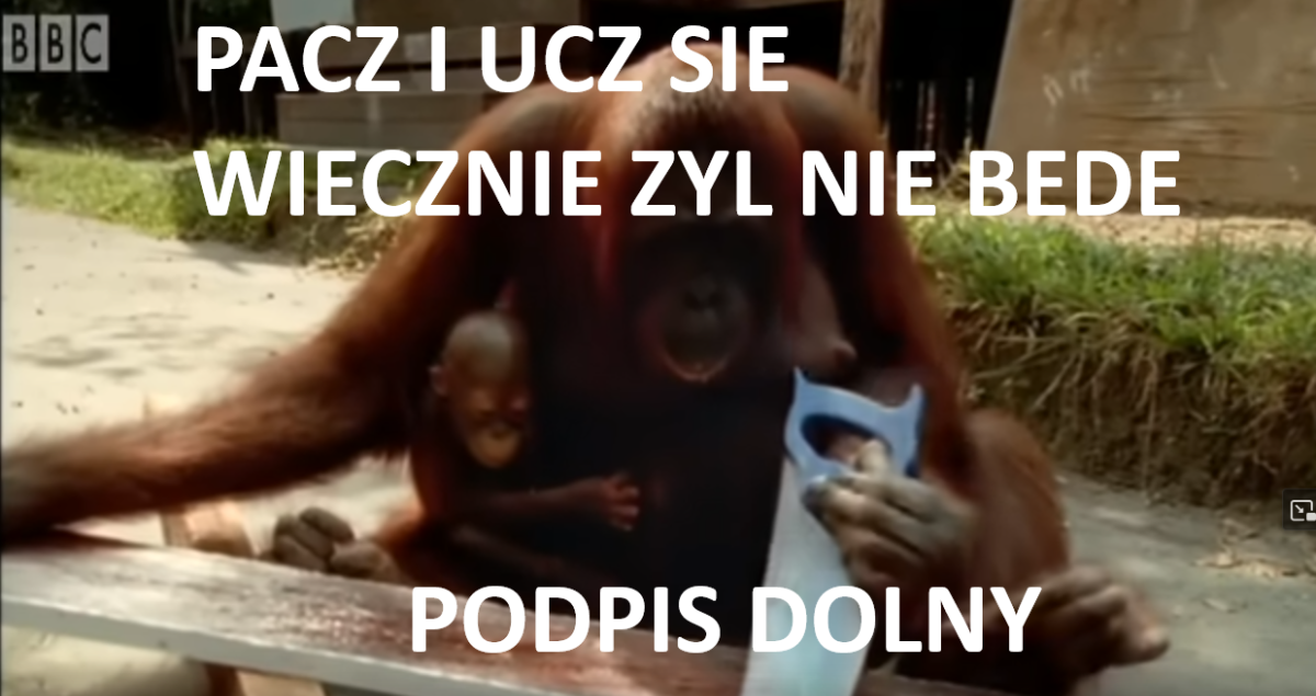 8439c573-27ab-4b22-af3b-a612dd37cb0b