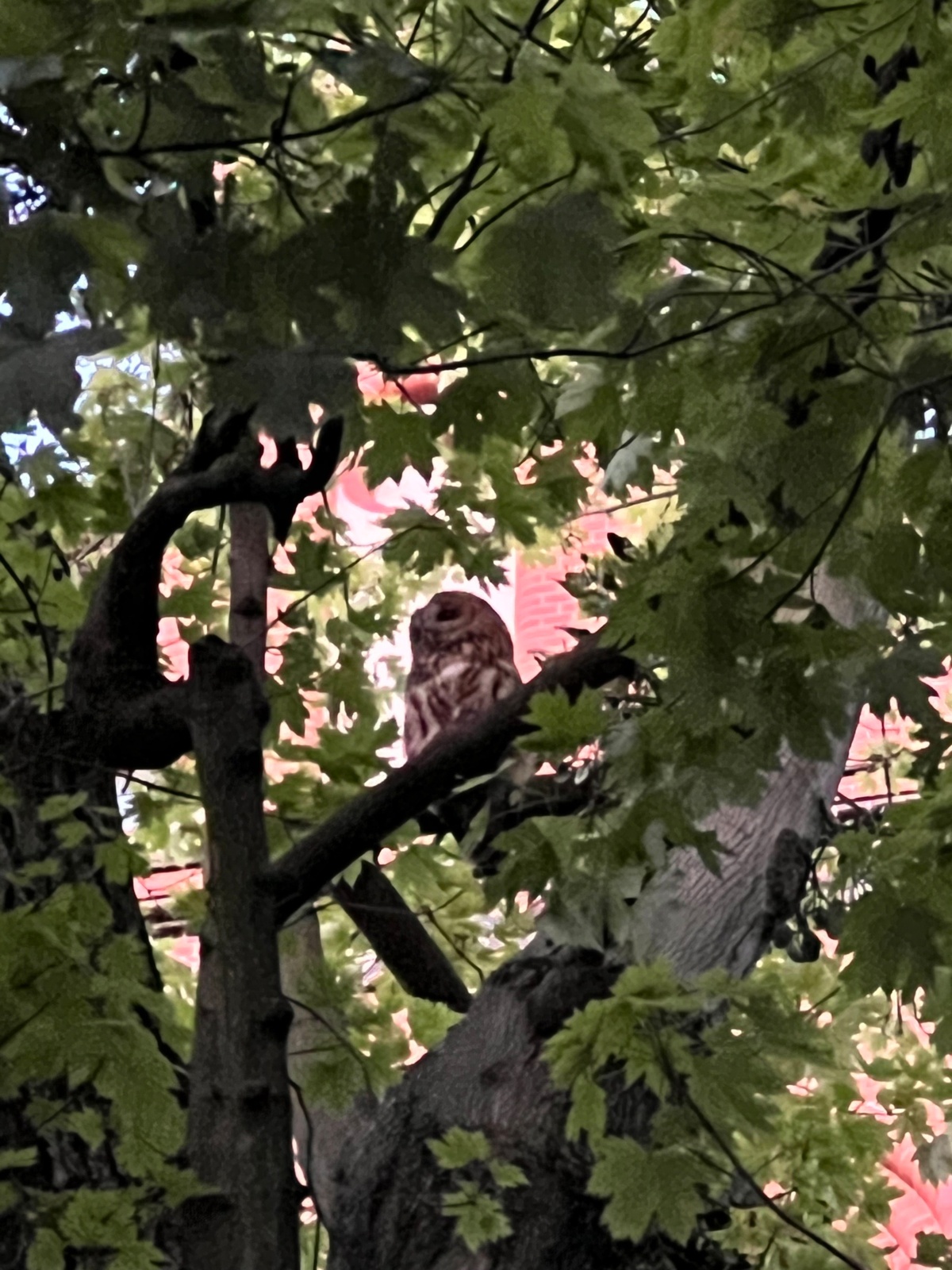 c2d1285e-5a6f-46dc-9f28-edab115dd4d1