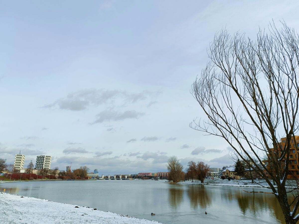 8f2811e7-84d6-489b-adc4-30ba8e6da988