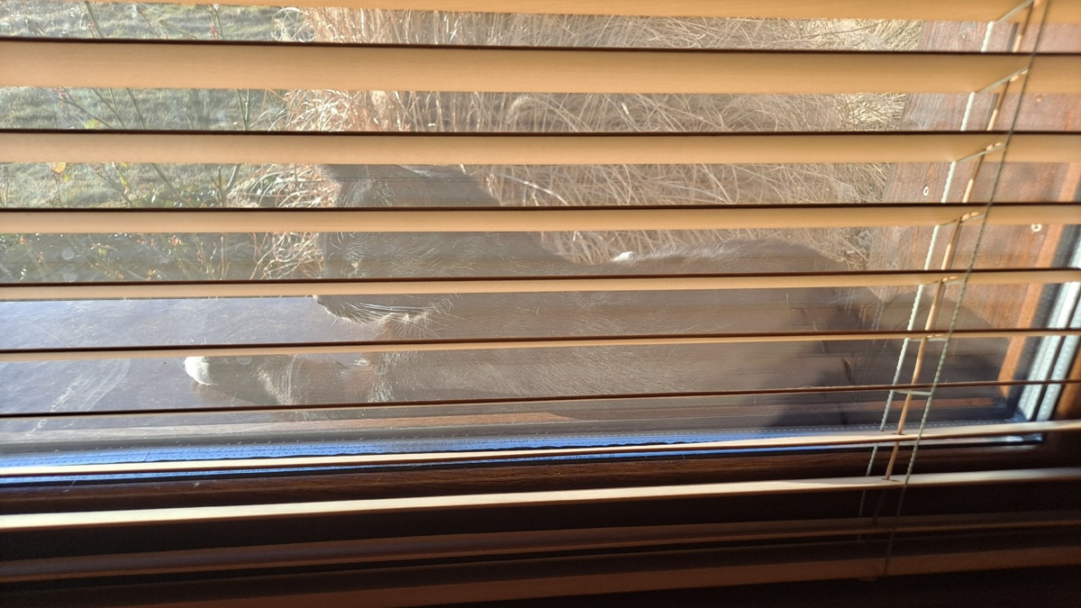 e0f4bc25-50ec-4d21-ab85-2a51c018331a