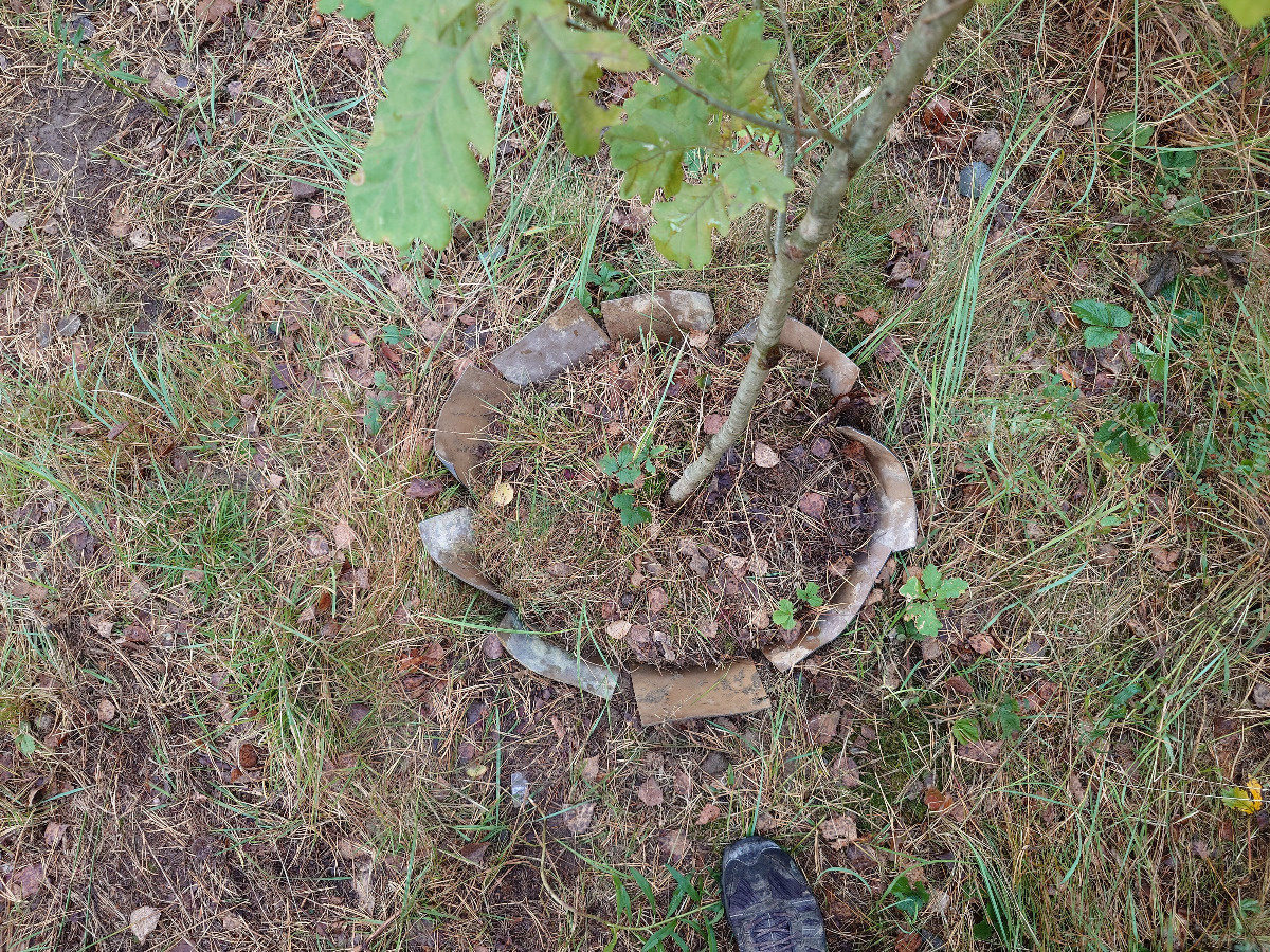 b6d26a45-4f47-411c-bfa8-2e64572e2e0d