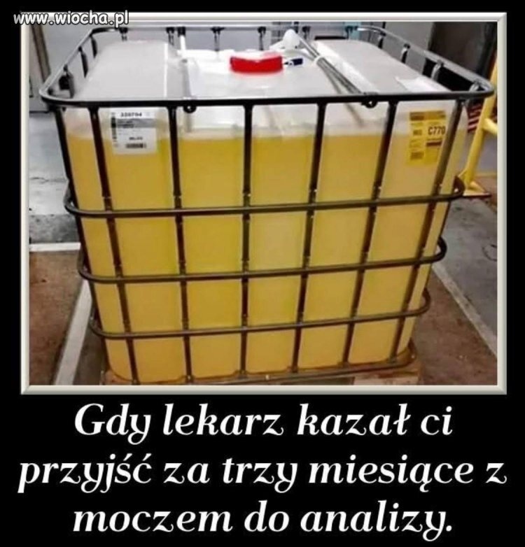 e87eb352-1cf6-4637-9674-28eb7e8038c9