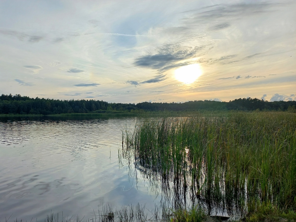 e0420c4b-8e36-411d-b161-c8d22069d084