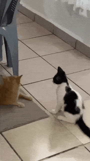 47f37d37-d25e-4fed-ac78-6621a3b5070f