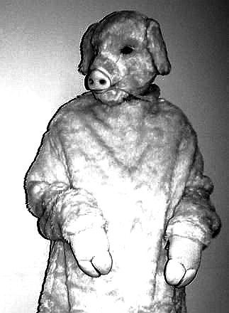 7ed5152a-6557-4307-bd4c-b02975be7b54