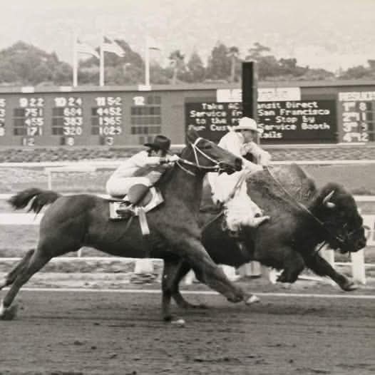 06dd3a62-372d-4d0e-901e-49e5af61557f