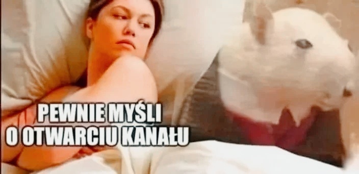 787c9fb1-171f-4c36-9627-cbf0cfbe3282