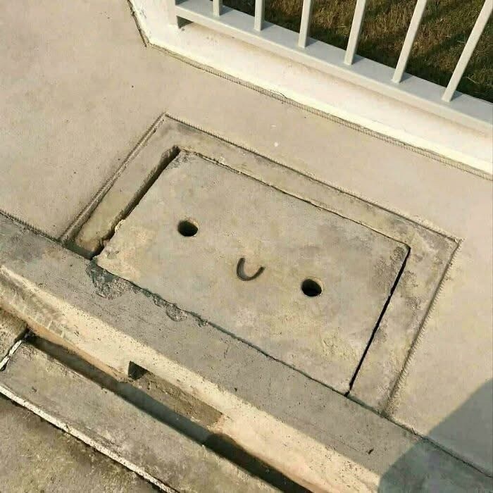 86ba3629-9fd9-4c55-9635-4a3002d06a09