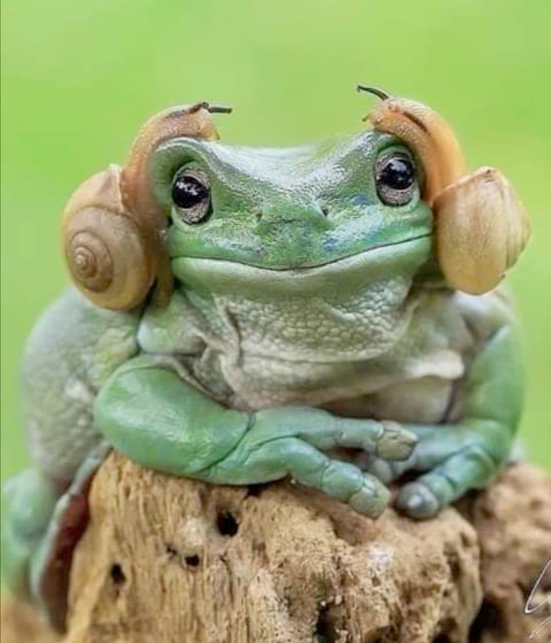 a1130f21-de09-449d-833a-2a5266cf48a9