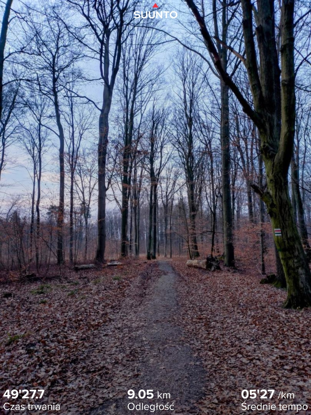 5a116599-310b-4d78-9e09-2f7407990214