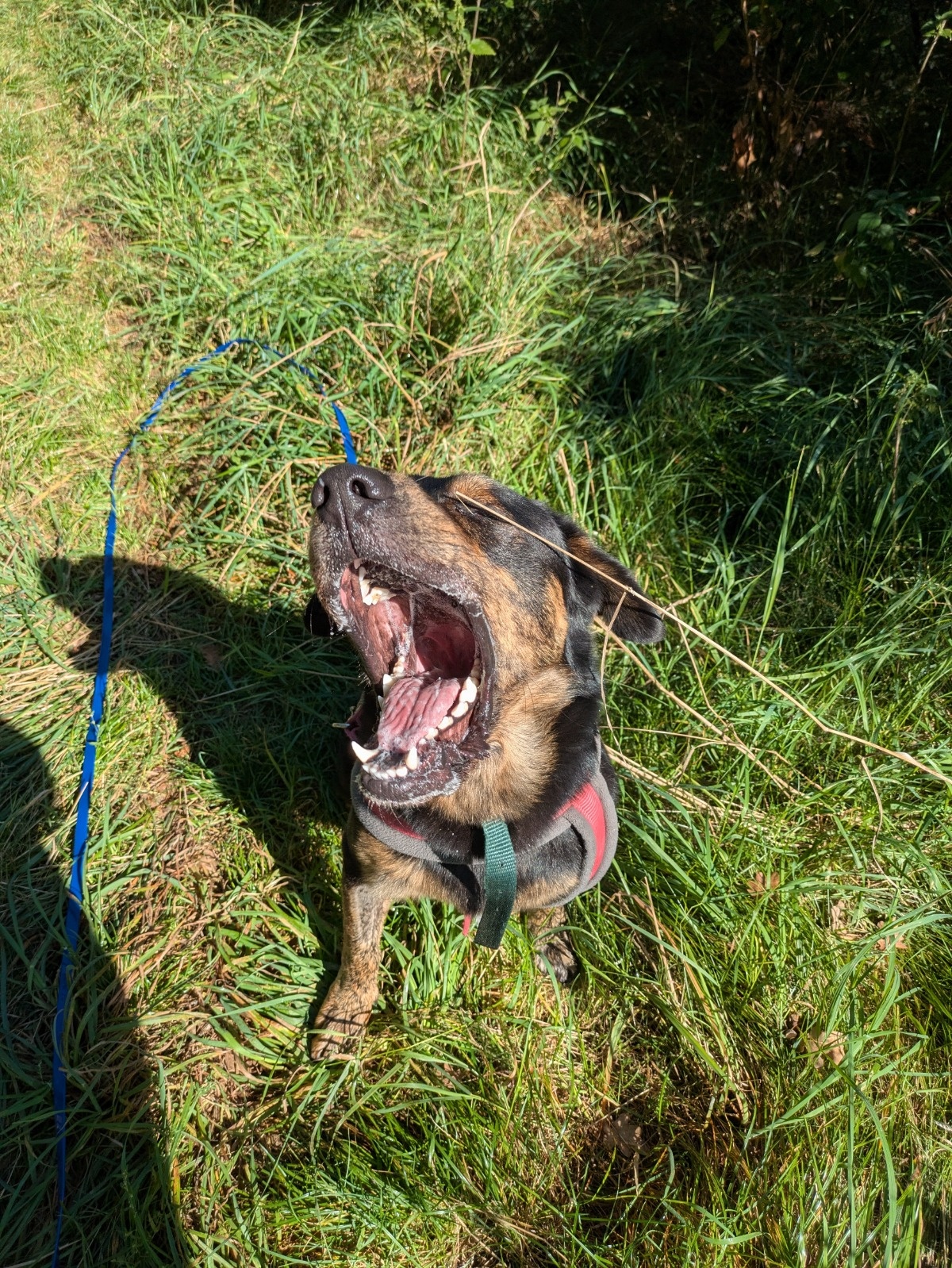 ad7e2122-421e-4c18-9a44-f8bec3aa249f