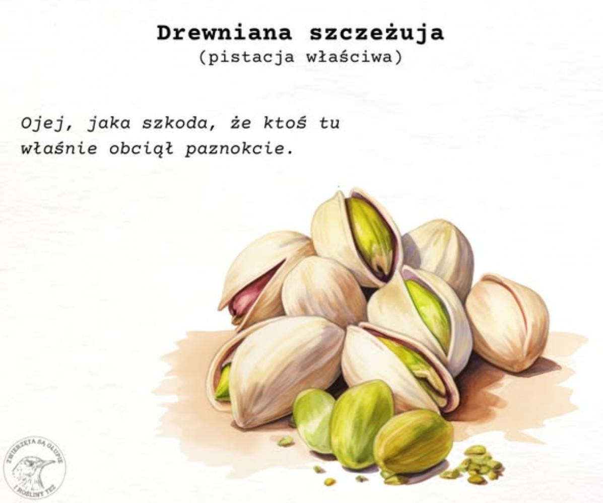 22c947e0-56a1-4796-b22f-aee60c716322