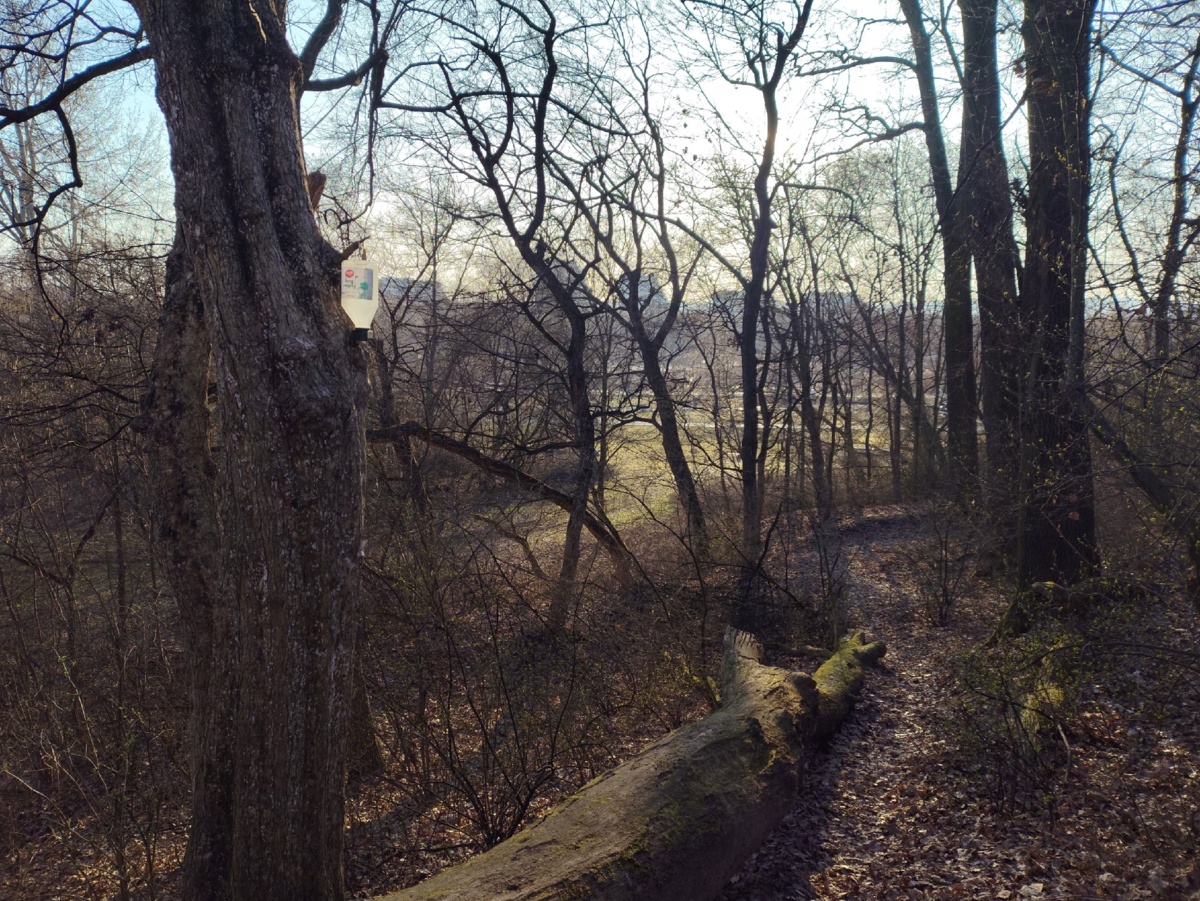 60c35177-a09a-48fd-9afc-19e49a6bc3a6