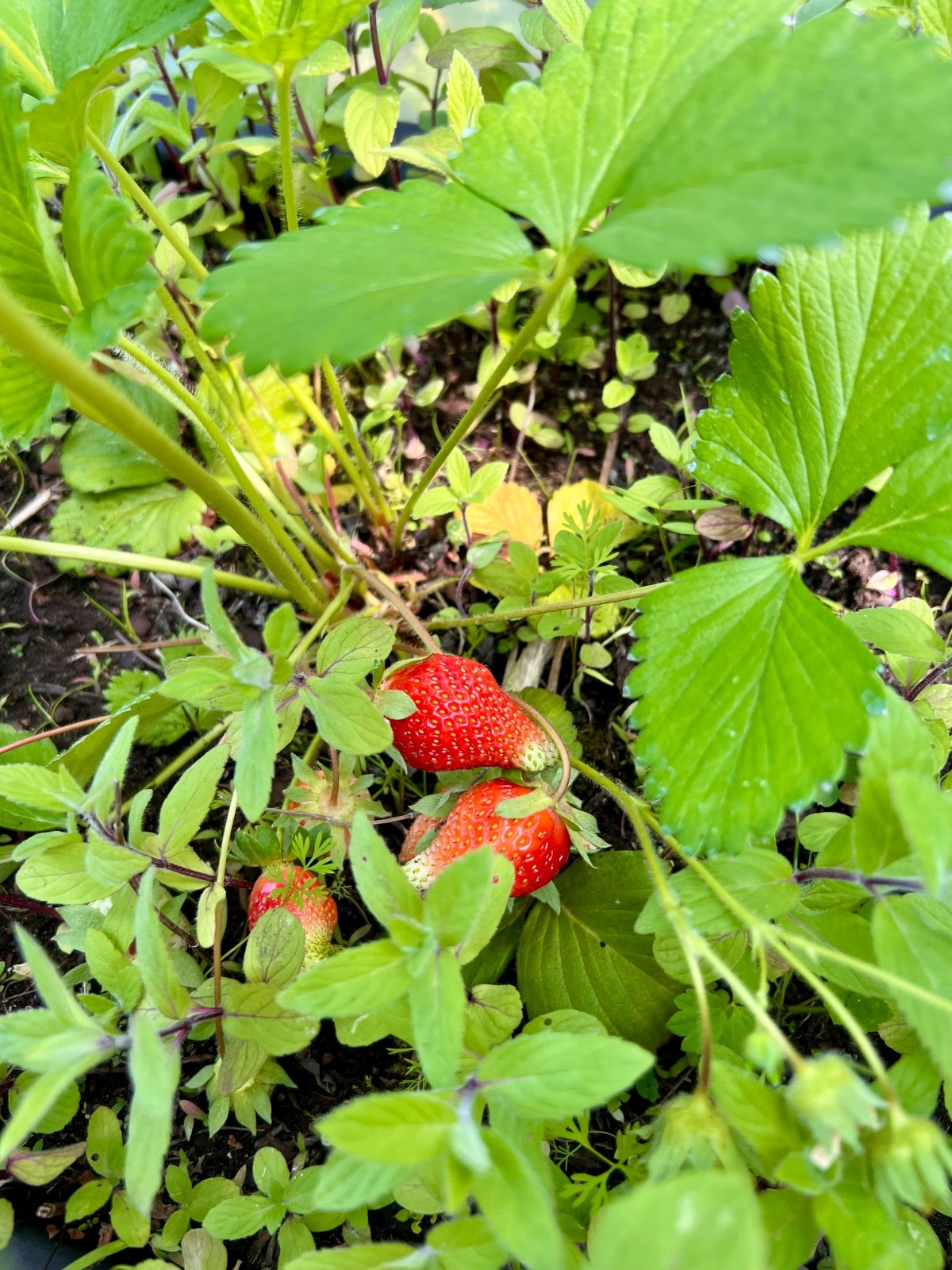 dcb15366-6e93-4408-bc93-5cf5aae6fed7