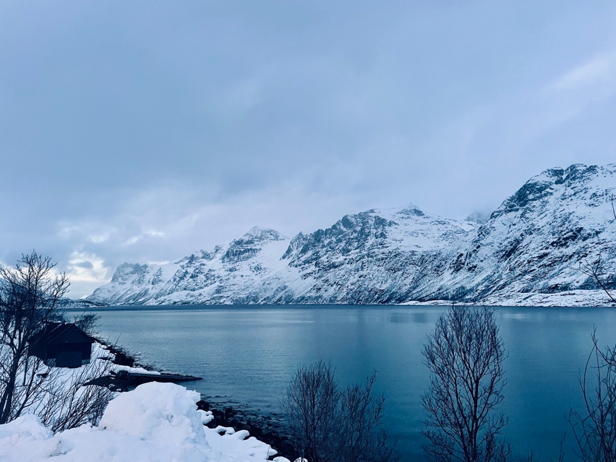 59a37101-bfa3-4e55-b4eb-ae61afc04379