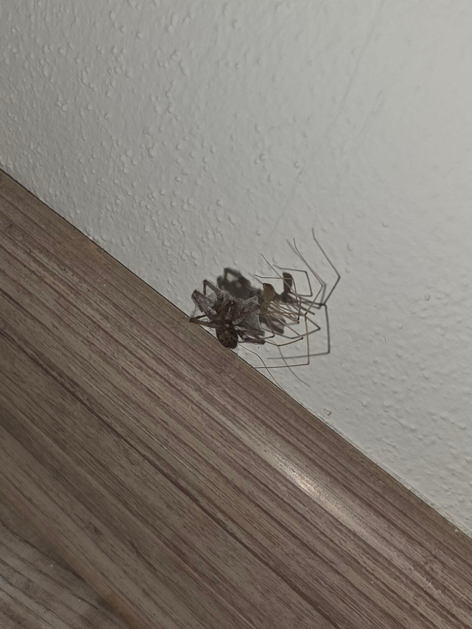 8e19e5bb-085e-4914-b67e-67829b621cba