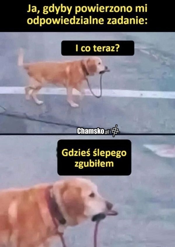 0547ec5a-b3ed-4136-9be8-38a458e0292b