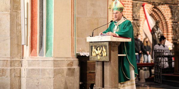 Krzyżak: Nieodrobiona lekcja hierarchów