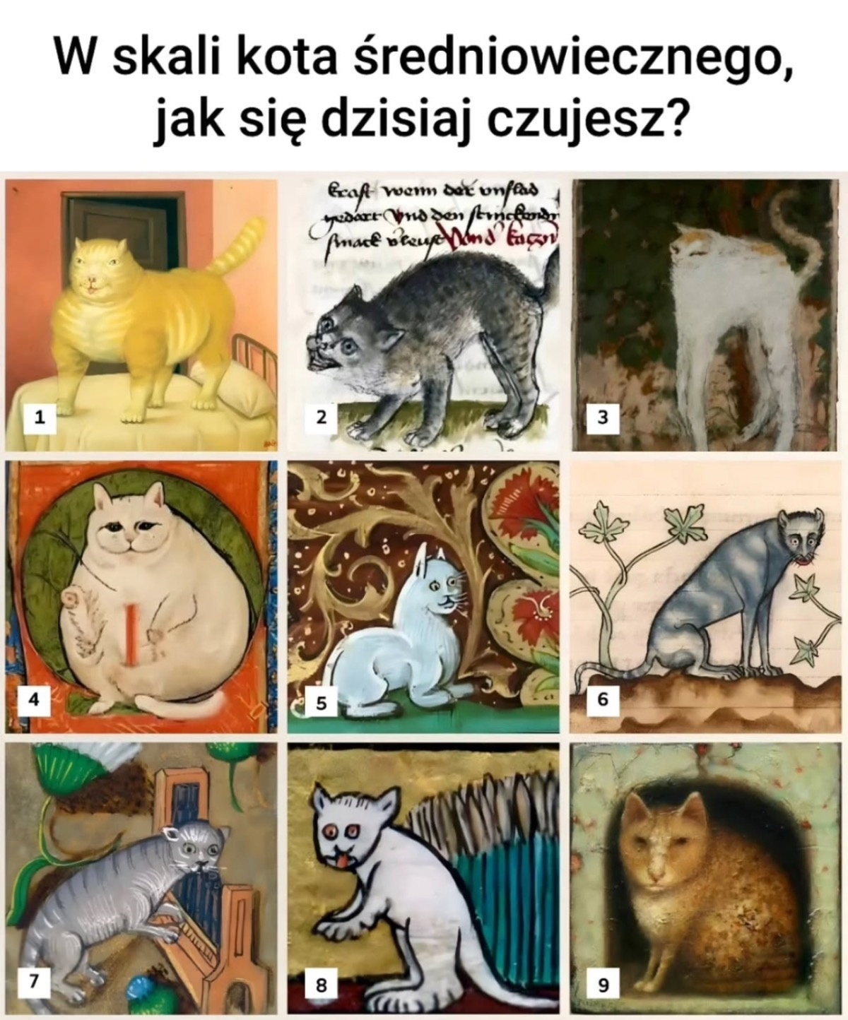 b899766e-faf8-47dd-ba6c-946265c8b65d