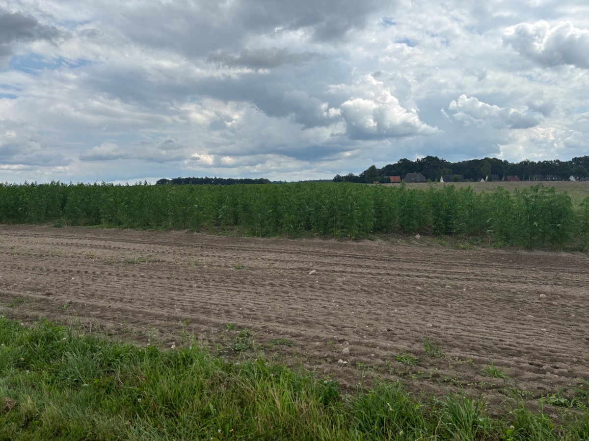 b2f2046f-03d4-43f1-ba67-cf3a22ffb5e5