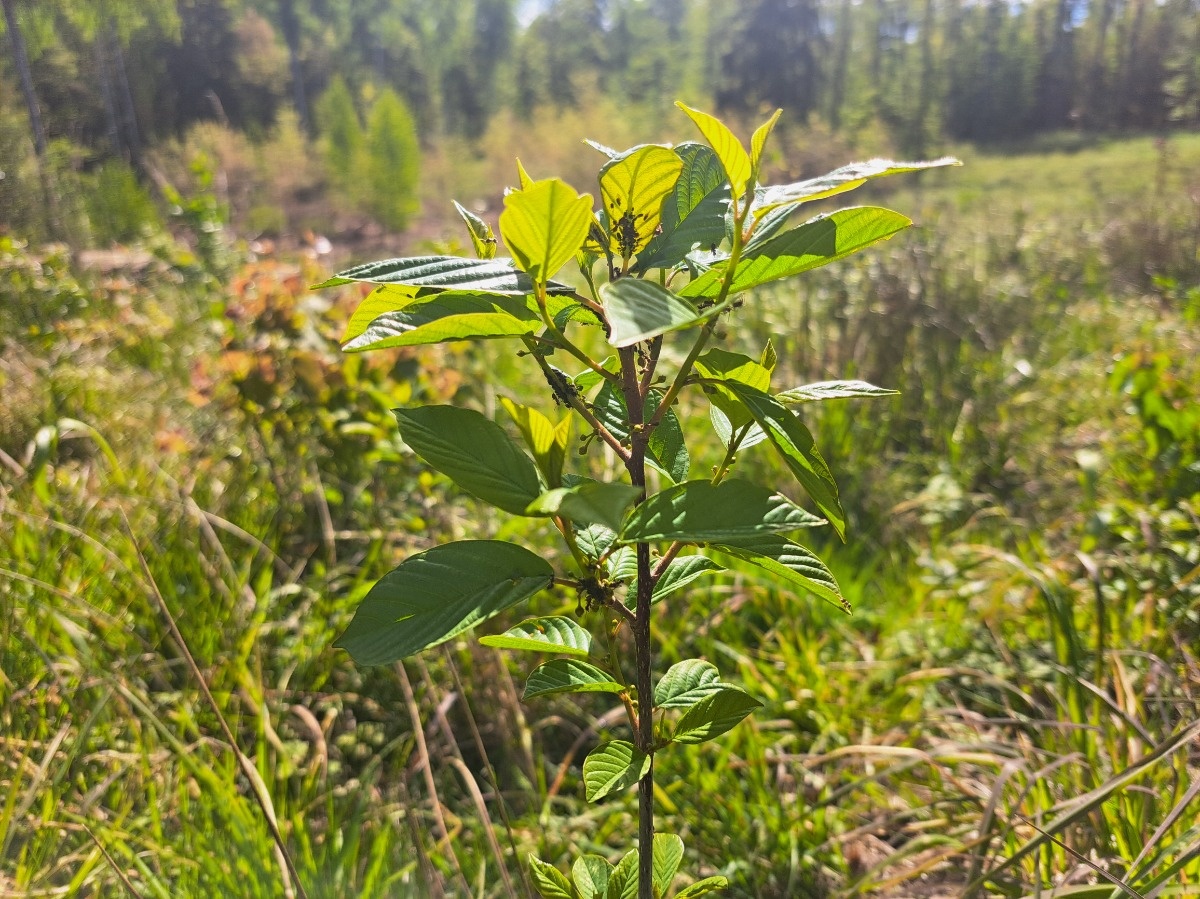 bb95f642-286c-48f7-a6f2-a828131be6a0