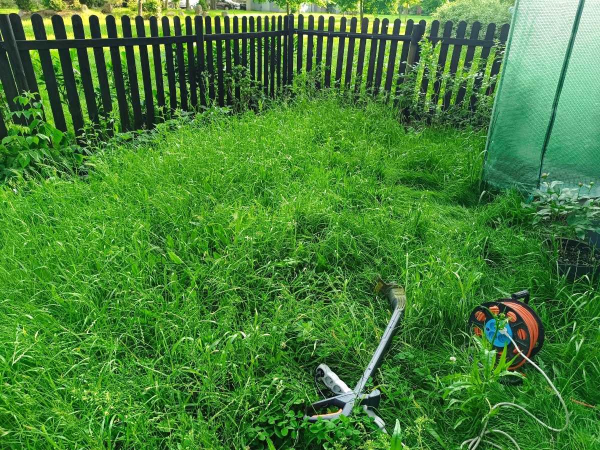 da1159a7-acd4-4a41-a8f1-9d33a37beebc