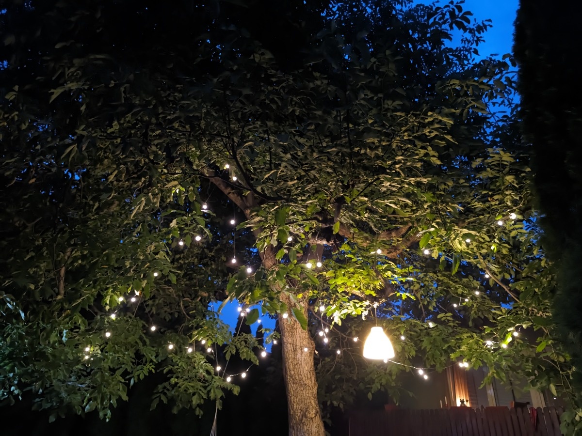 5fe3a214-4a93-436a-9b32-53c19f5ed9b6