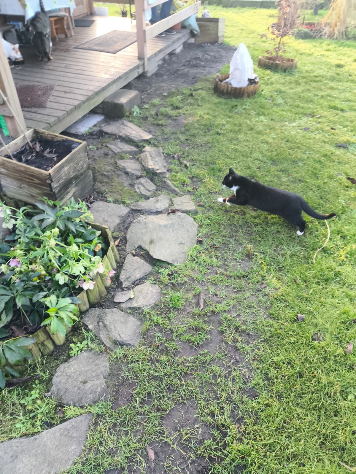 8e75dc22-57b3-46dd-a851-040cd482d14d