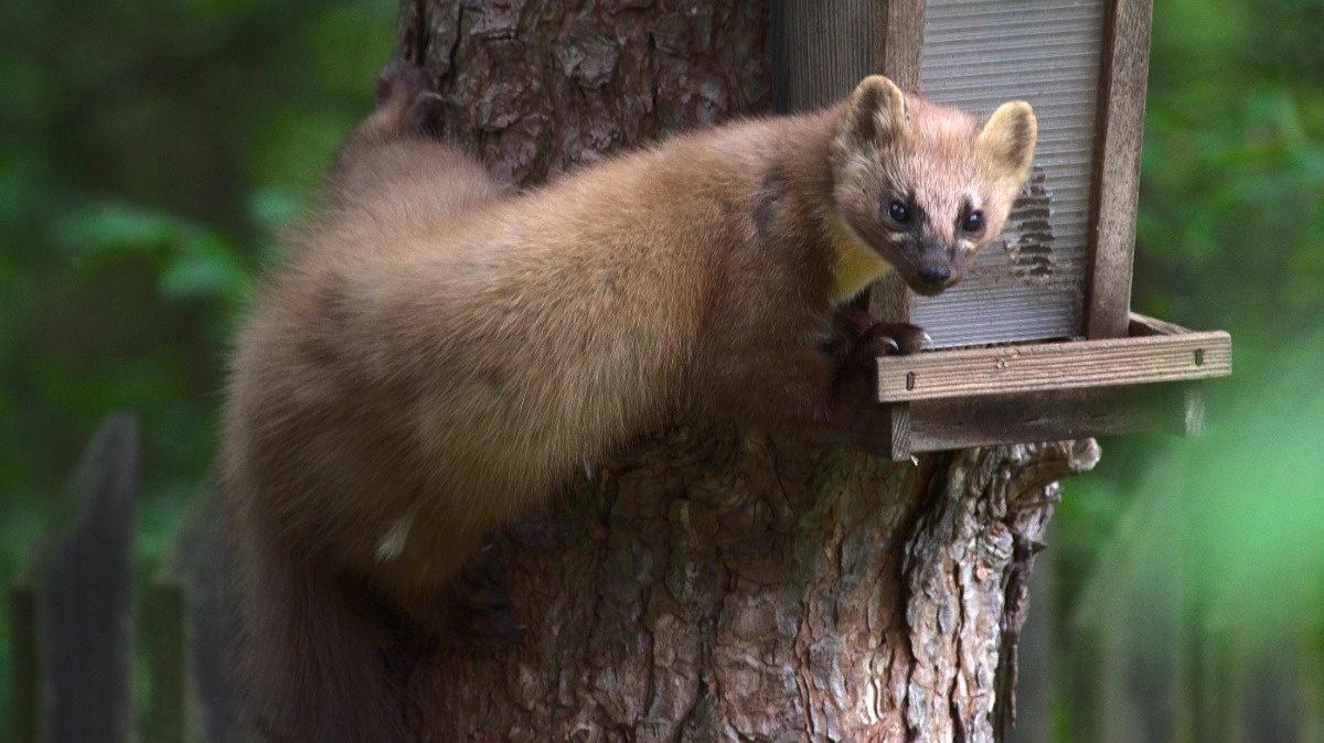 47a76905-7f86-475c-86bf-903ec6ff15c2