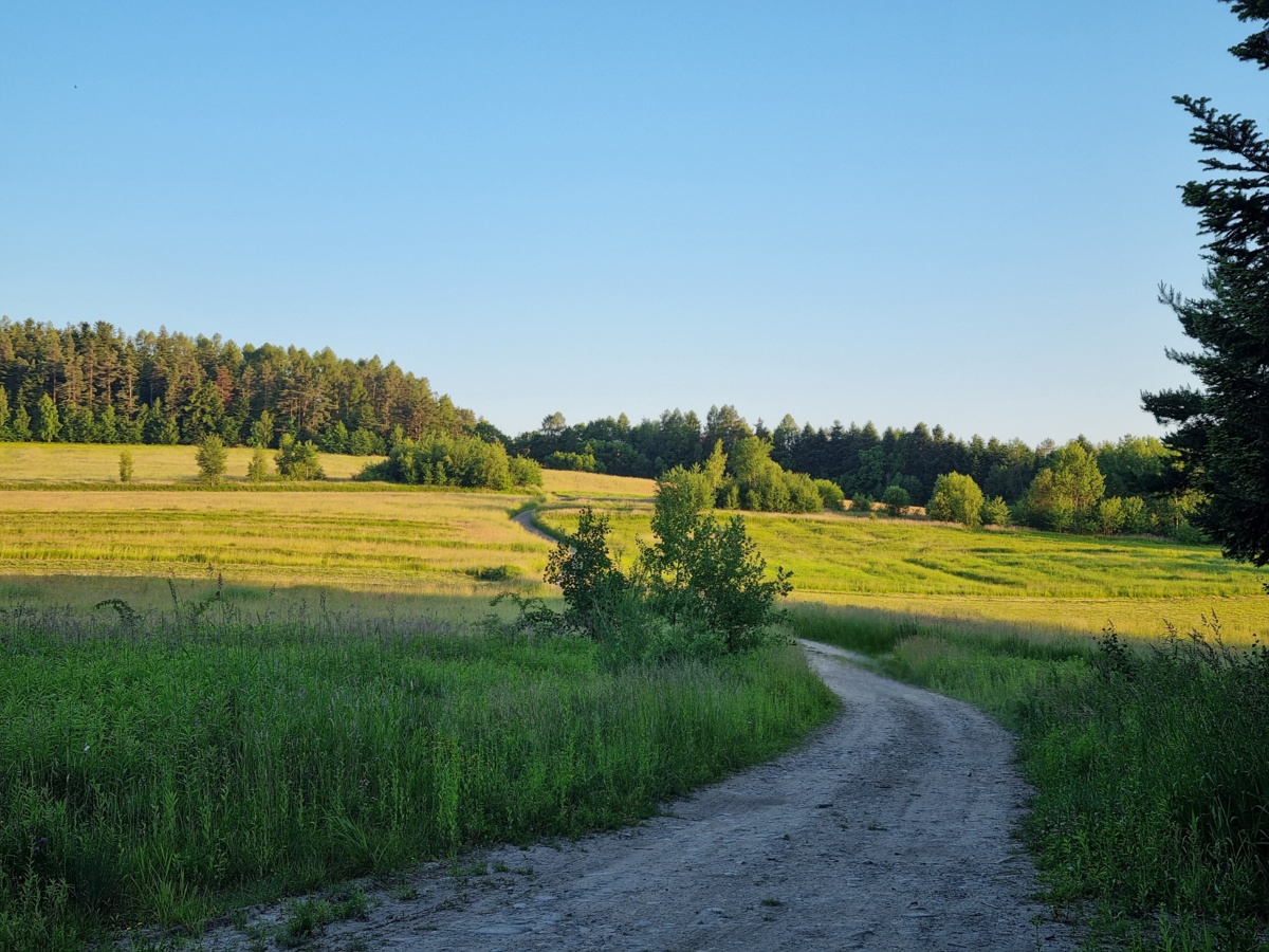 3d6b93b9-e38c-4091-8ae1-e7abac93a1ac