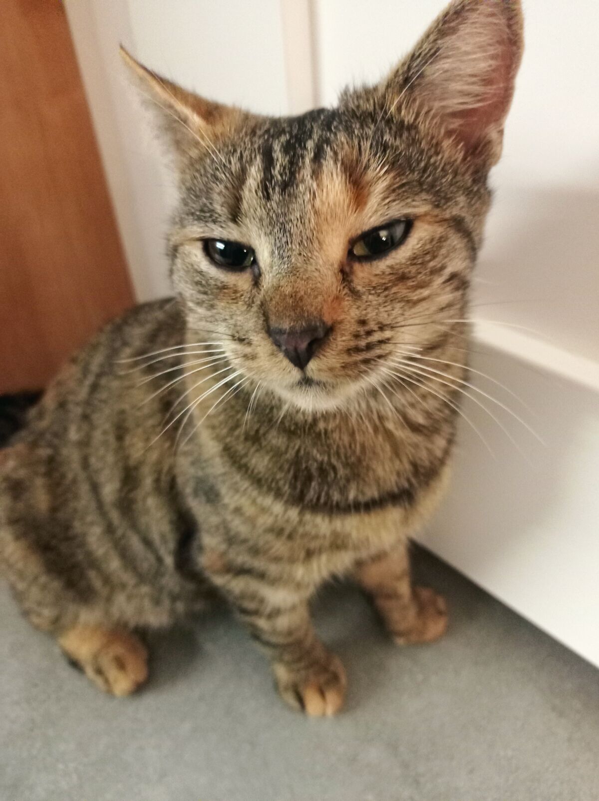 8a2260db-8aec-4f59-95d8-7c84e01b1e8d