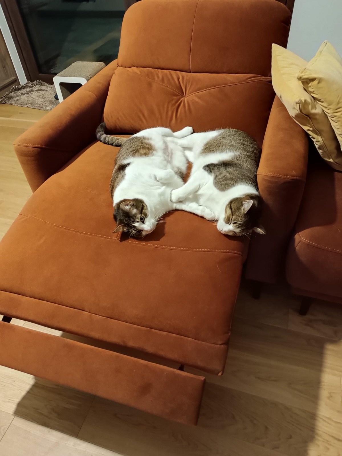 83c5f1ca-2f77-46d0-b868-899d93c0b448