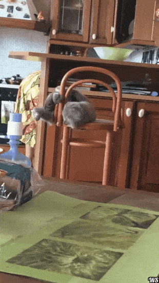 e1b35998-3f7f-4aa9-8e50-d9dc26504ee9