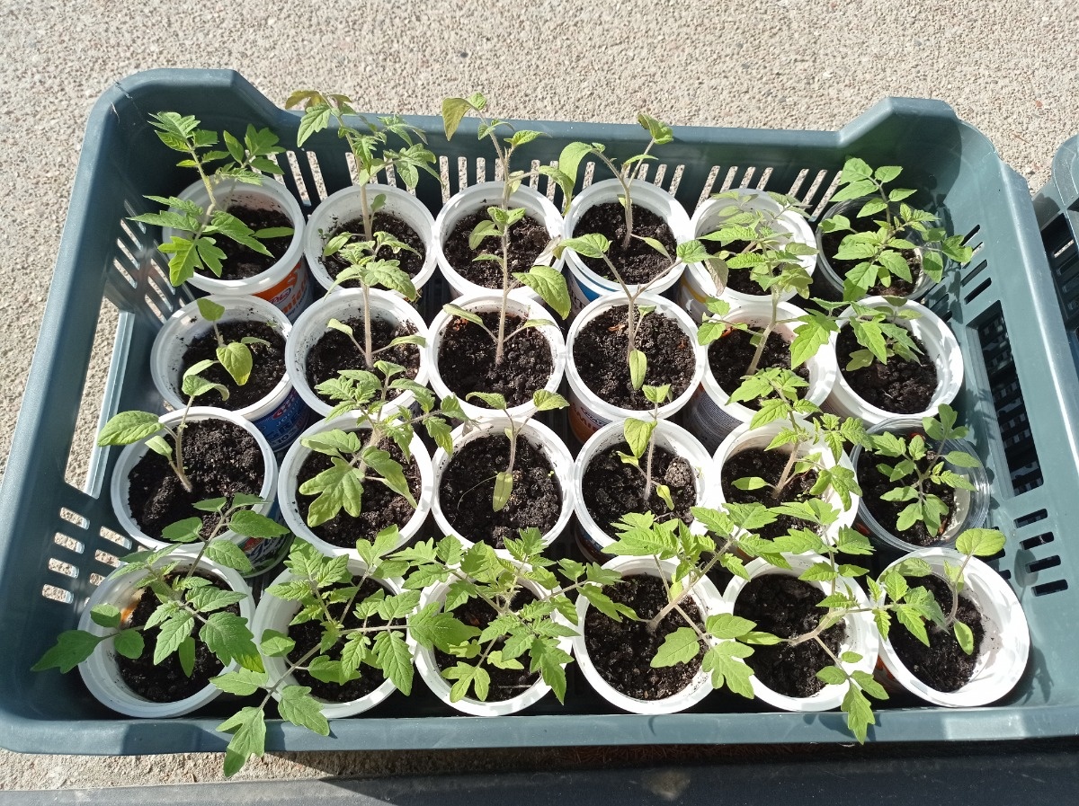 c5a5d556-823c-4007-a06c-c9b45b840f5b