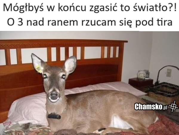 8a079cd6-30a9-411d-83f6-ecec02d23a05