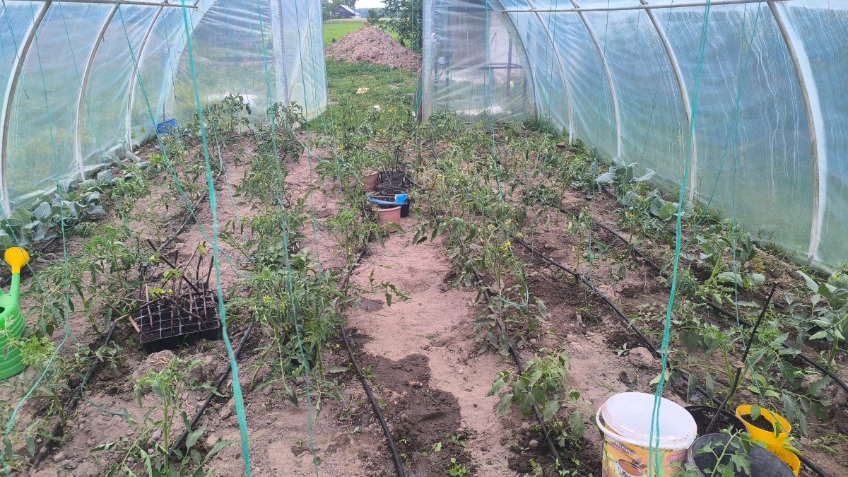 6625b13b-6ccb-42f9-9f17-fac8e123a5b9