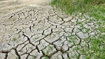 Europejczycy uważają zmianę klimatu za najpoważniejszy problem, przed którym stoi świat