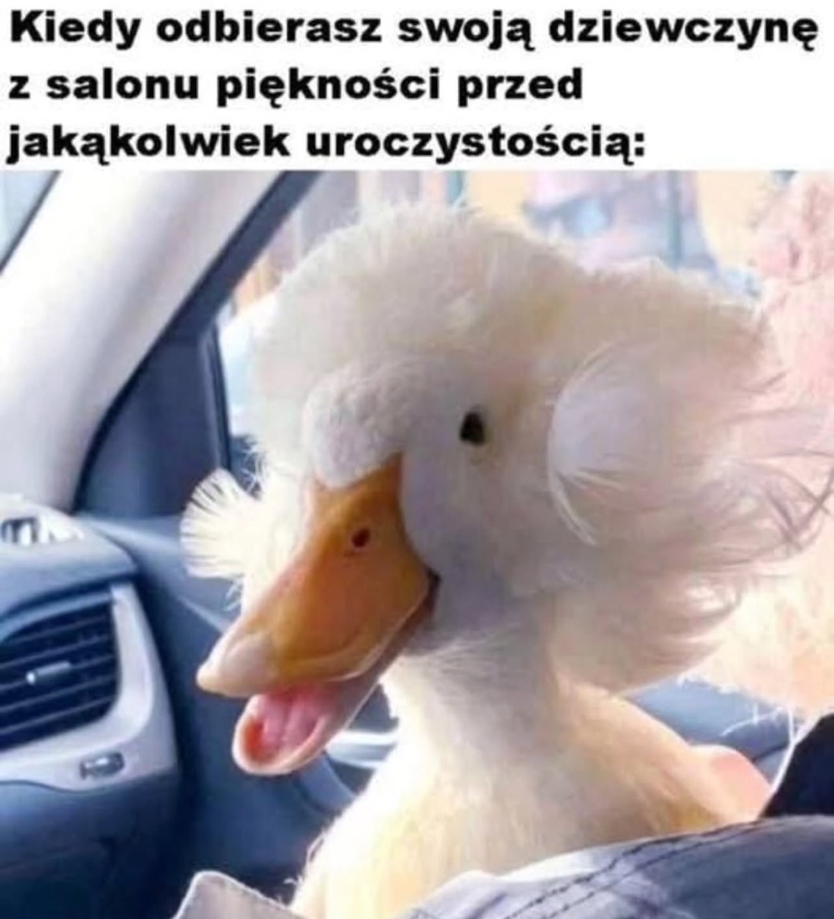 db515d52-cf89-4142-adbe-b6e6e72471b3