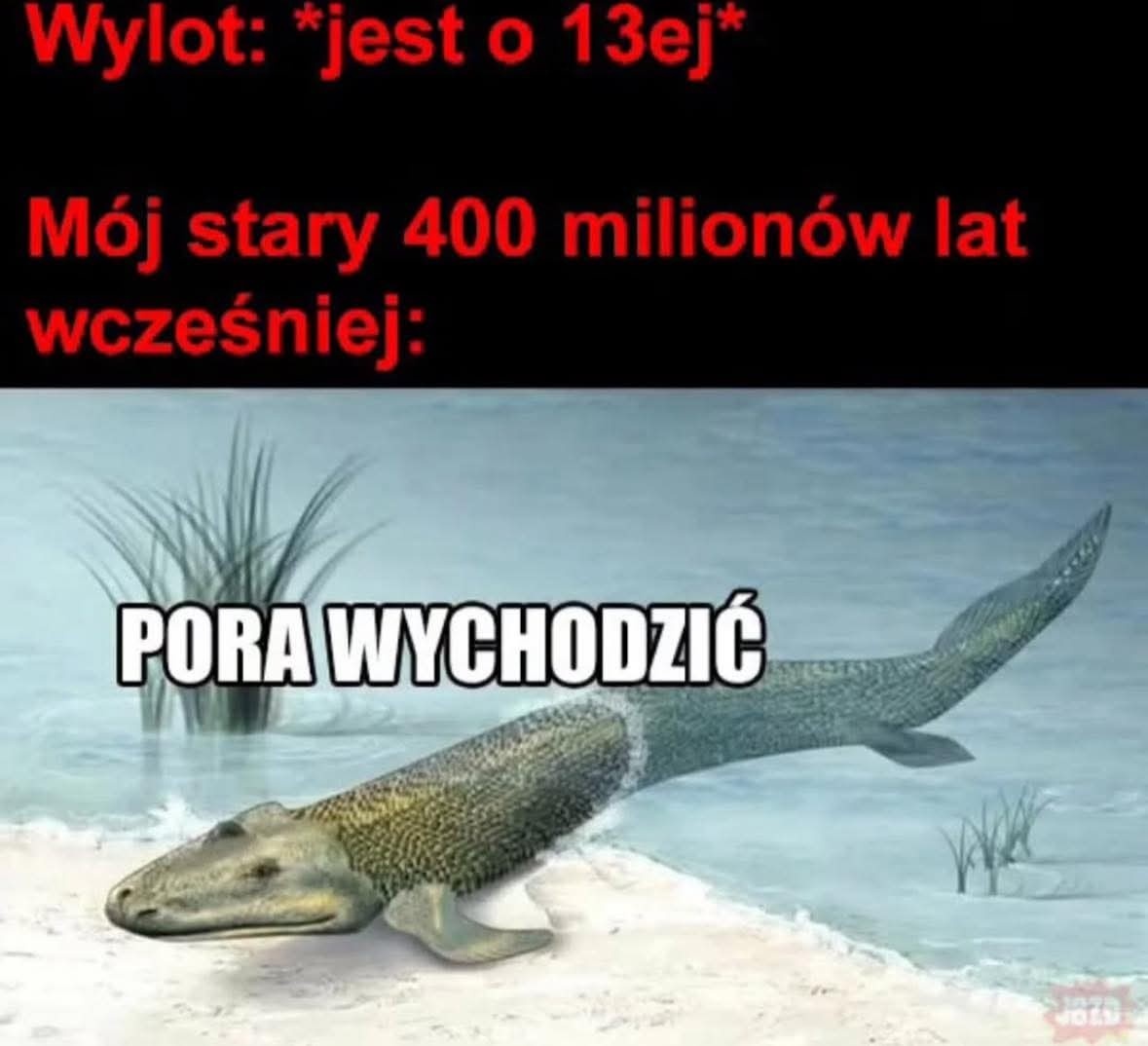 de1b57eb-30cc-44a9-bf2f-1f65ea52f568