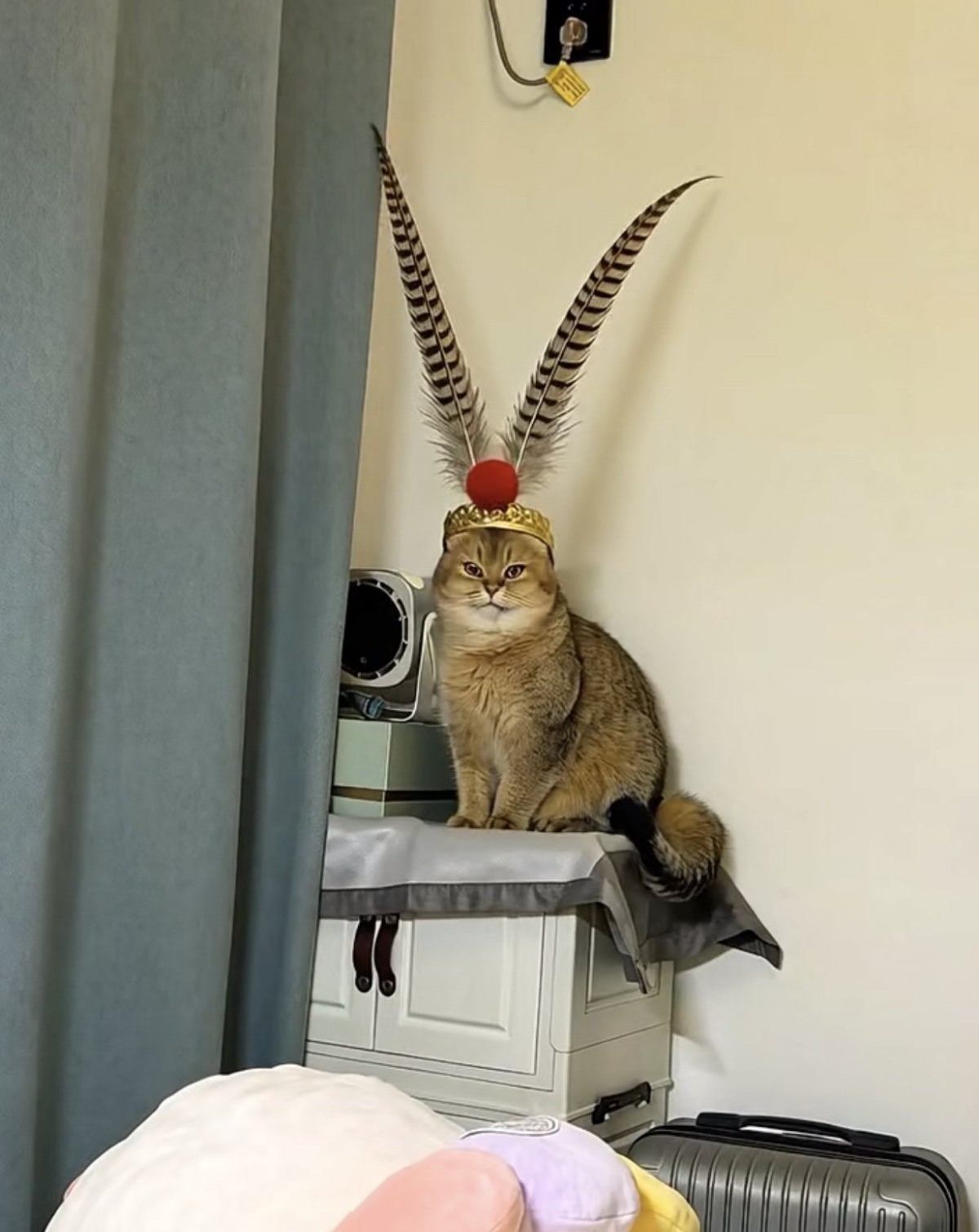 7f996585-d03e-4a34-a244-8f59f5bbede1