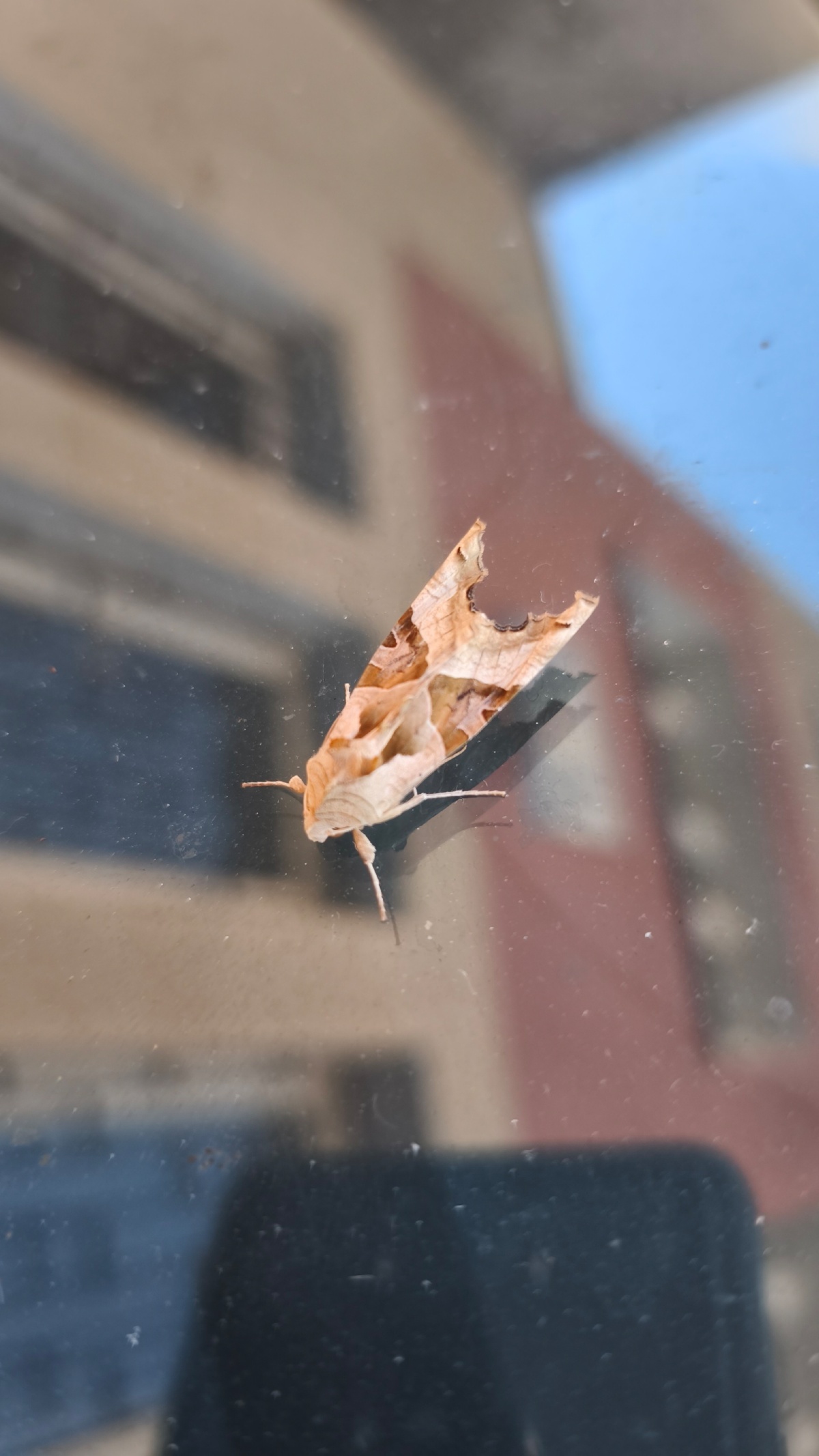 7b6c6e9e-d6c1-44a1-887e-ebbc60368244