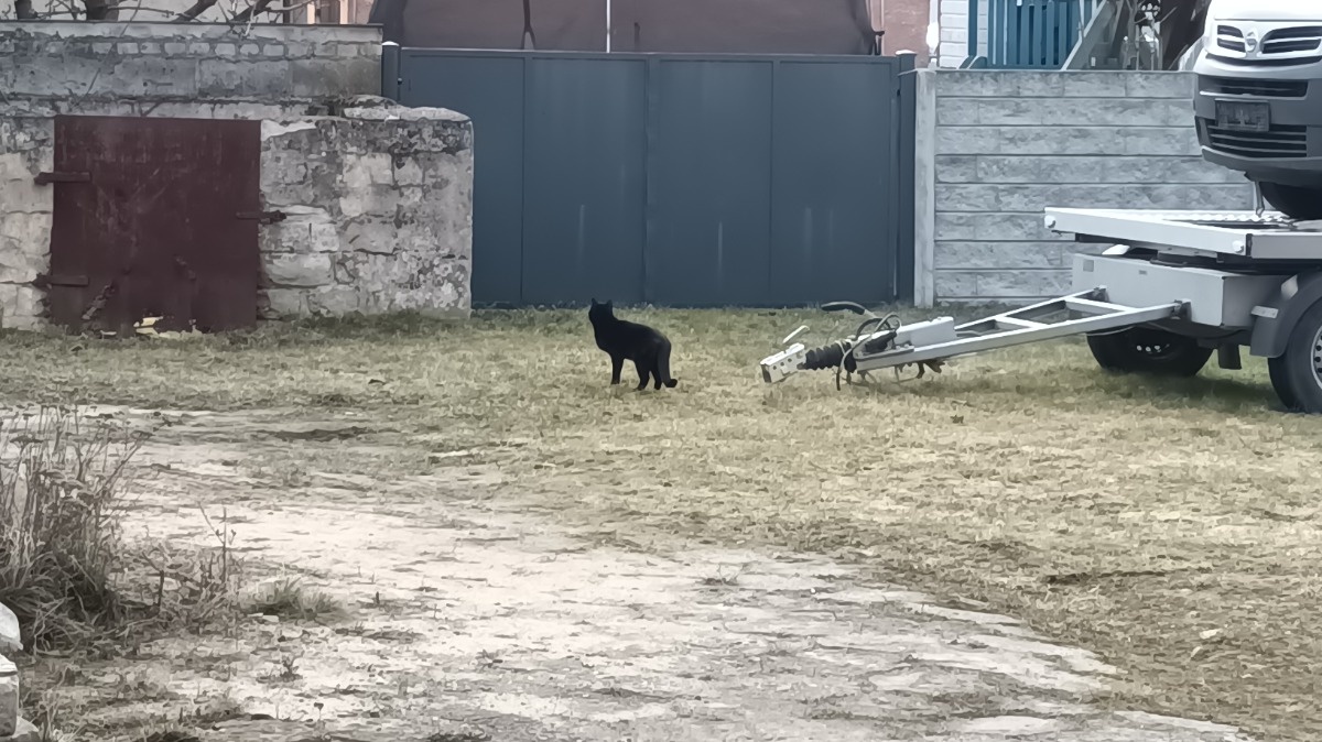 50f2050e-8d02-4859-8c36-ea2844543153