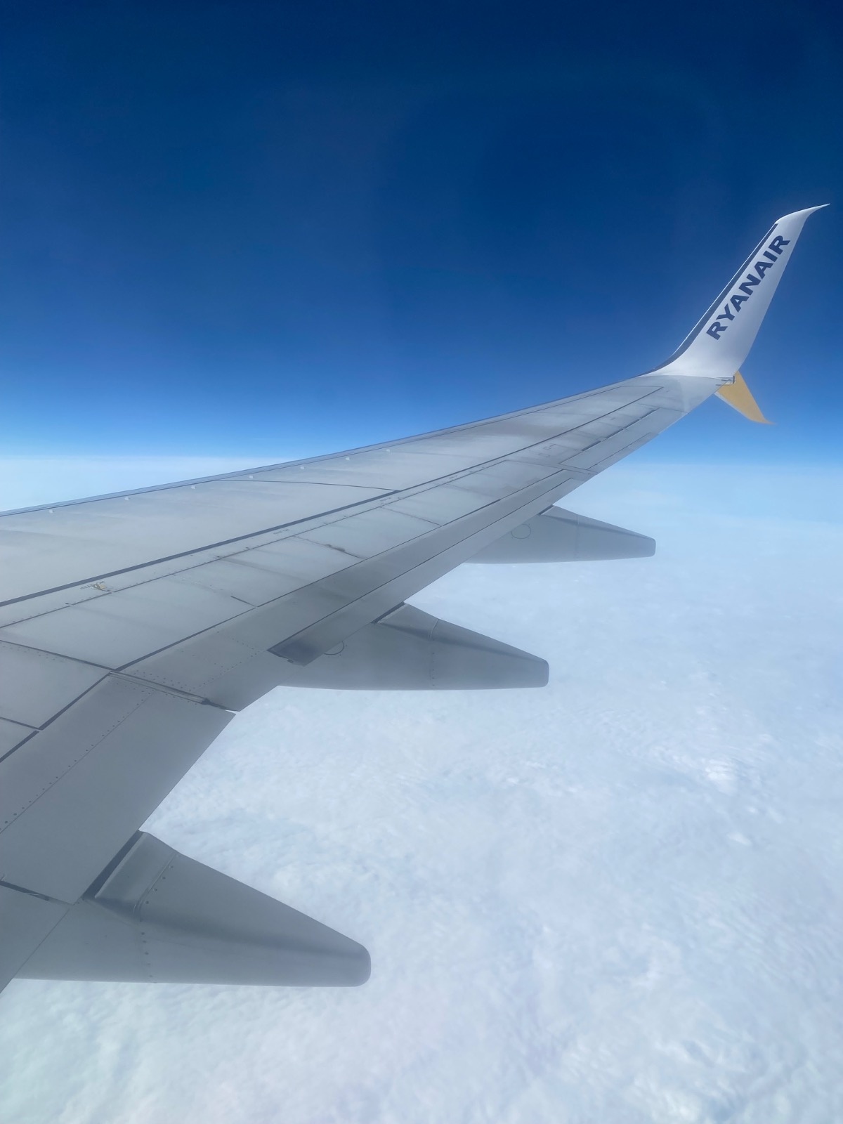 a1b49047-4416-44ea-b0bc-13cd0b6c769c