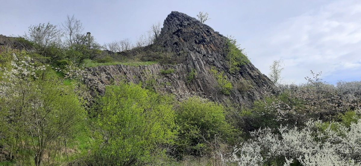 d2849ab6-425a-4bfb-a0fd-a2d982a8e9a0