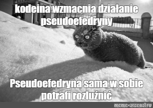 12dcd386-9b79-4a50-9642-2108b6b7e035